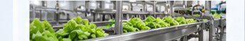 Conveyors